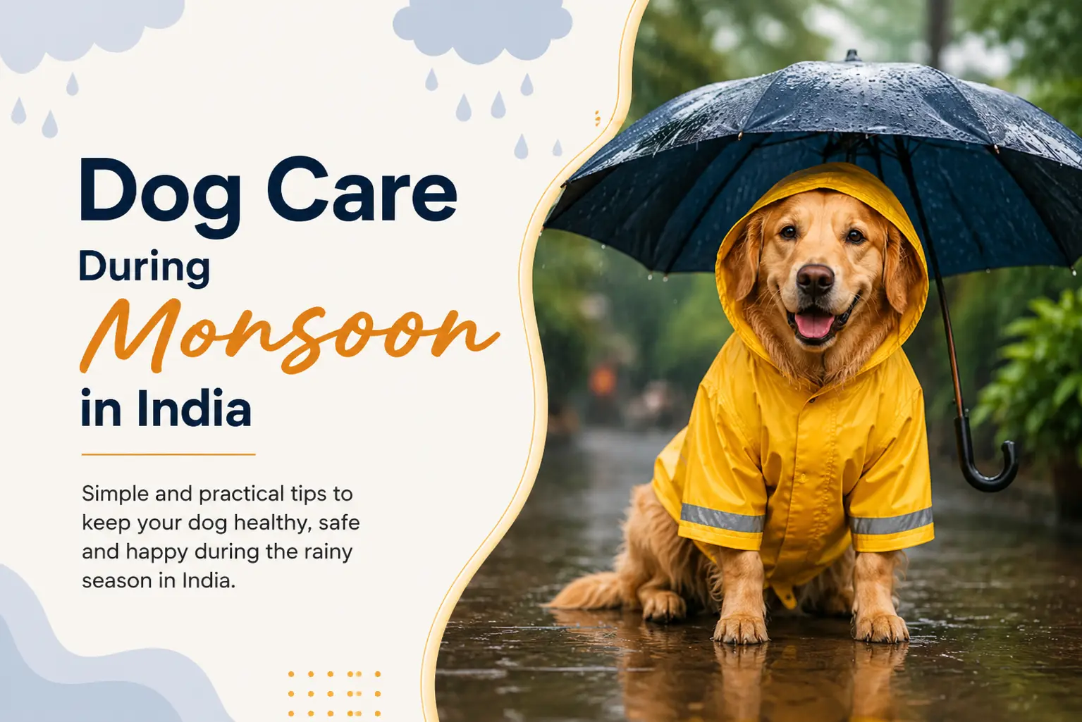 Dog Care During Monsoon in India: Tips to Keep Your Pet Healthy and Safe