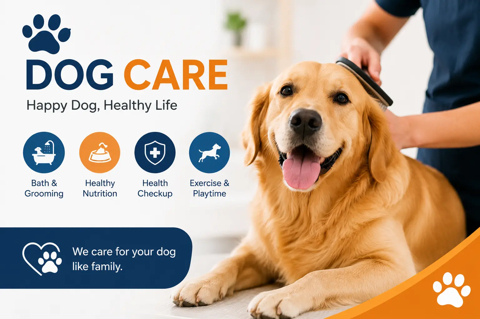Dog Care